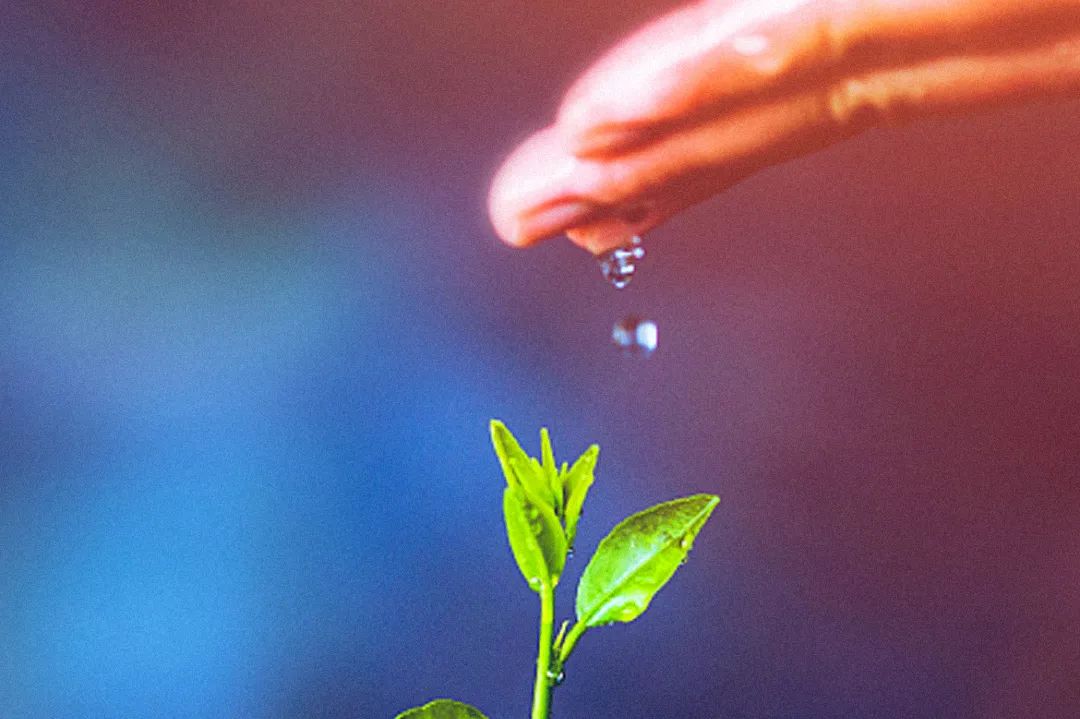 【卫浴洞察53】卫浴行业当下更应求同存异,和为贵(图6) 【卫浴洞察53】卫浴行业当下更应求同存异,和为贵(图6)