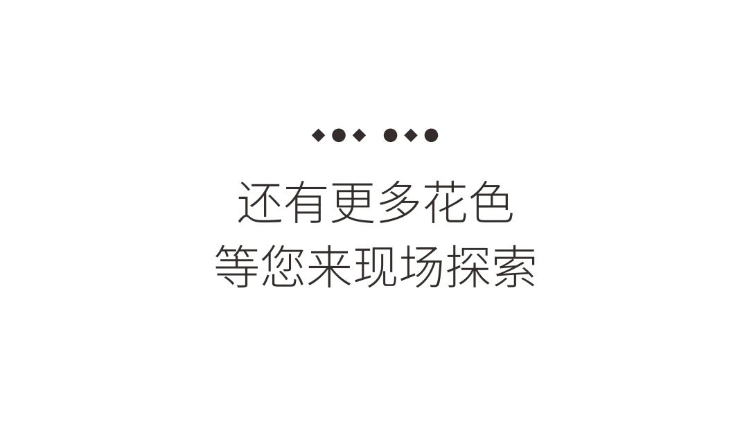 朗生展会 | 12月8-11日，“大地色系2024”于广州设计周全球首发(图30)